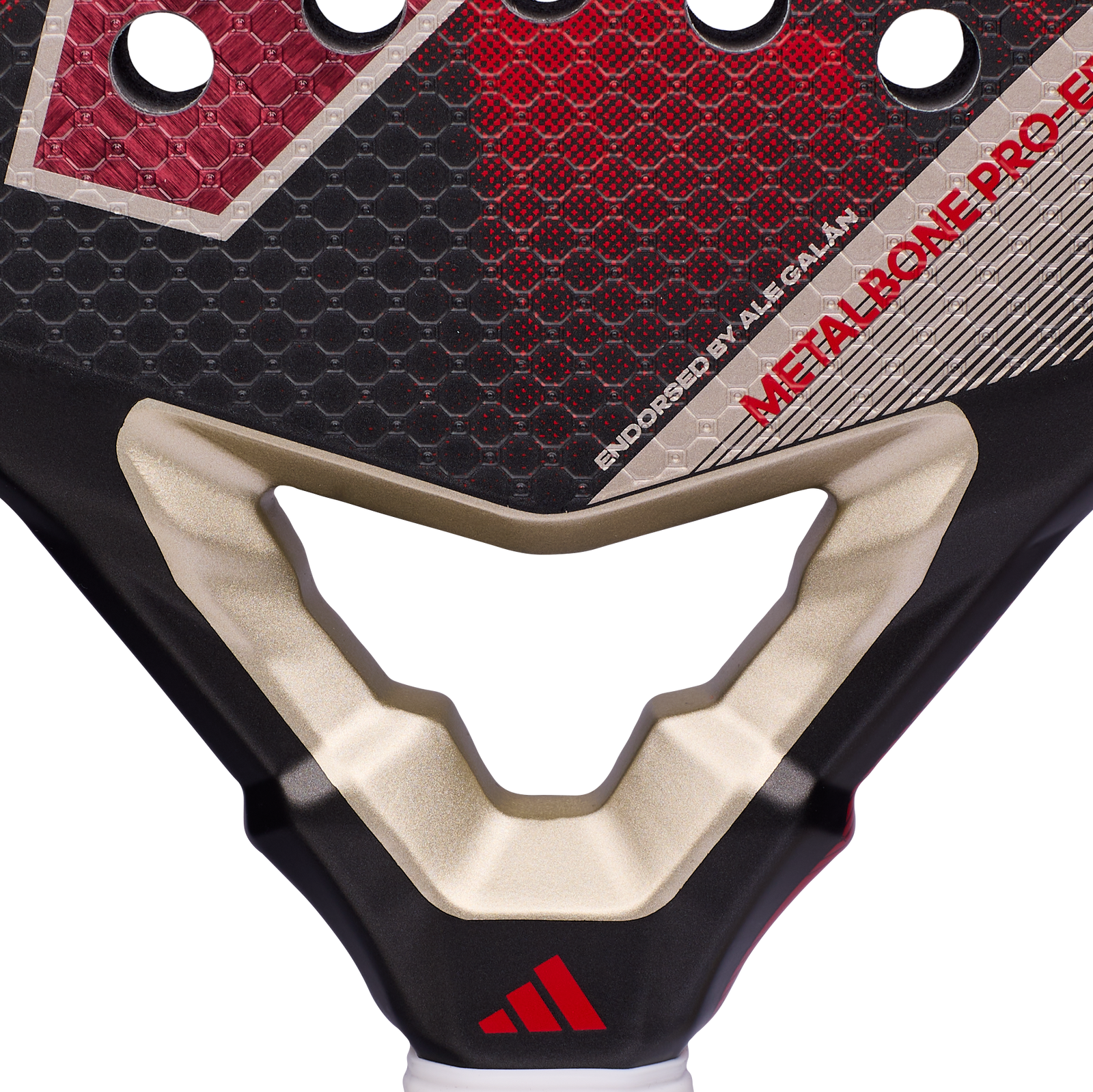 PRO - EDT 2026 COLLECTION